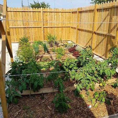 Holiday home Maison De 2 Chambres A Olonne Sur Mer Avec Jardin Clos A 2 Km De La Plage